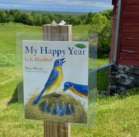 My Happy Year by E. Bluebird